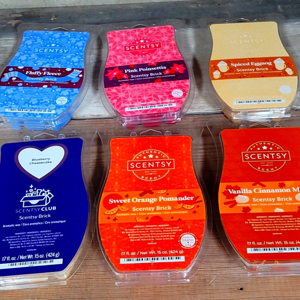 Scentsy bricks